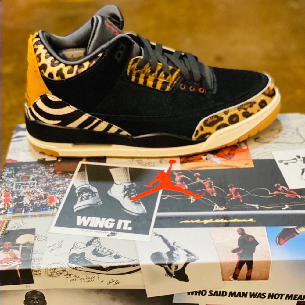 Air Jordan 3 Retro SE